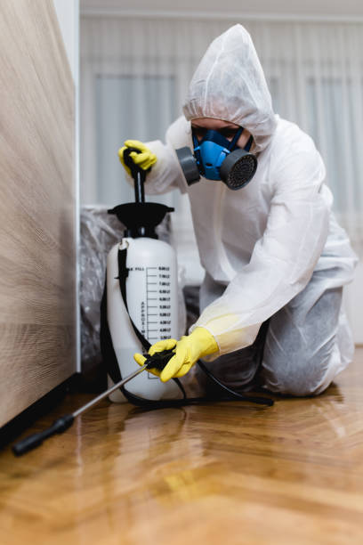 Reliable Lakemont, PA Pest Control Solutions